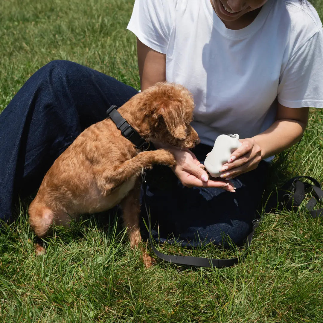 Springer Silicone Dog Treat Dispenser Pouch