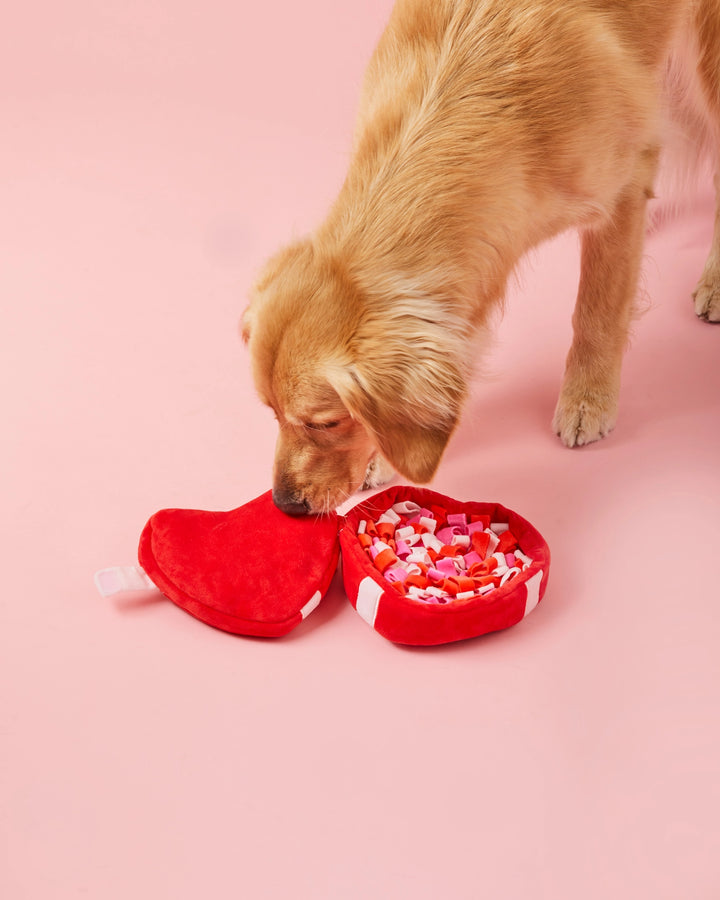 The Foggy Dog Be My Valentine Interactive Snuffle Dog Toy