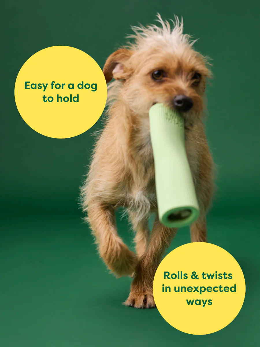 Earth Rated Rubber Chew Toy