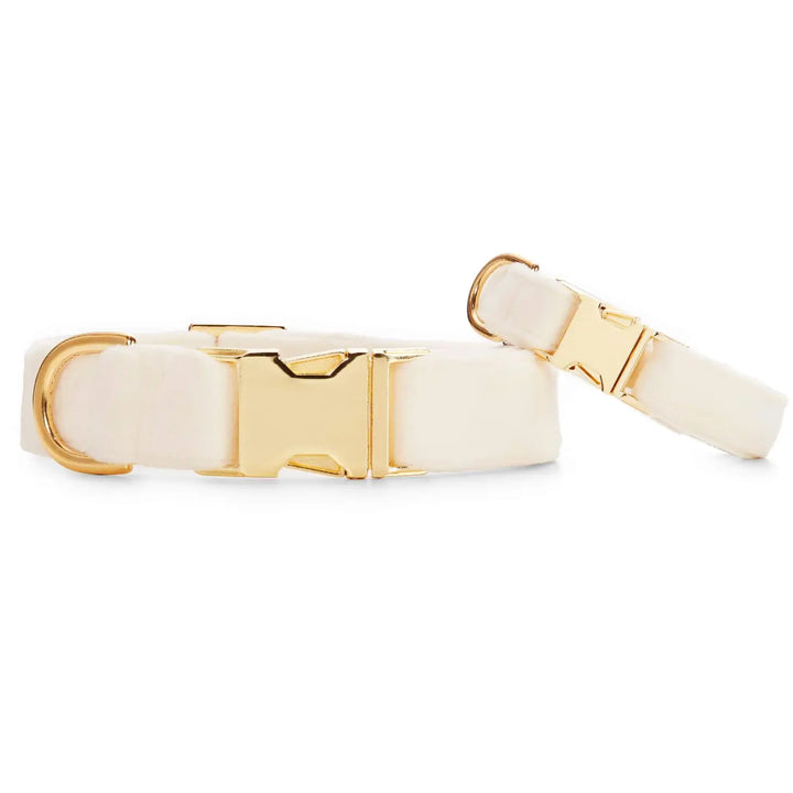 The Foggy Dog Ivory Velvet Dog Collar