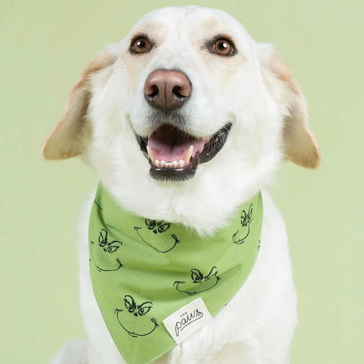 The Paws Grinch Dog Bandana