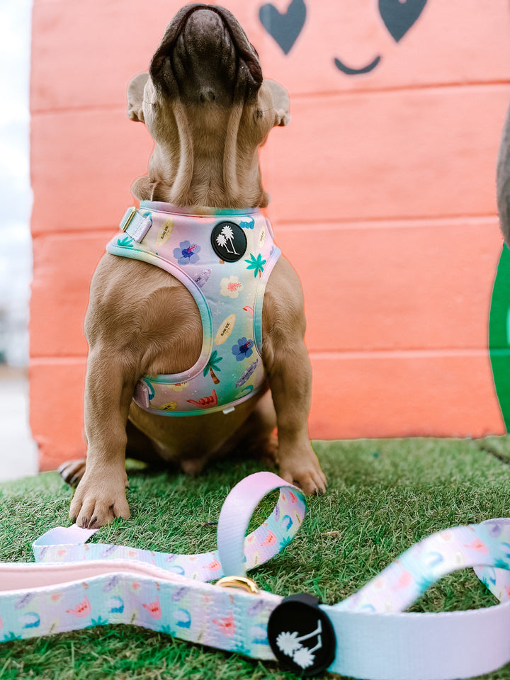 Island Dog Paradise Harness