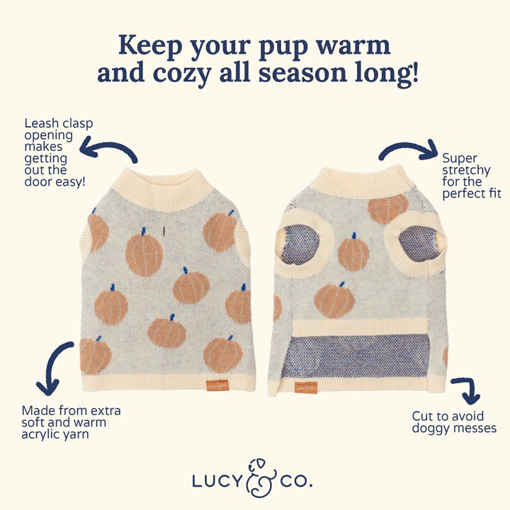 Lucy & Co The Awesomely Autumn Sweater