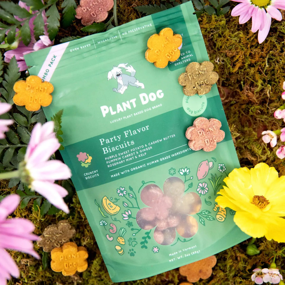 Plant Dog Party Flavor Dog Treats