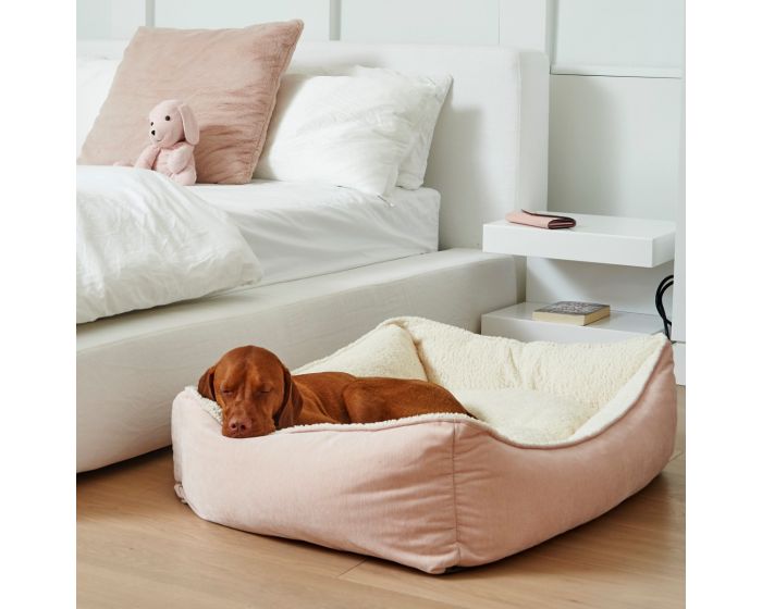 Bowsers Beds Scoop Bed