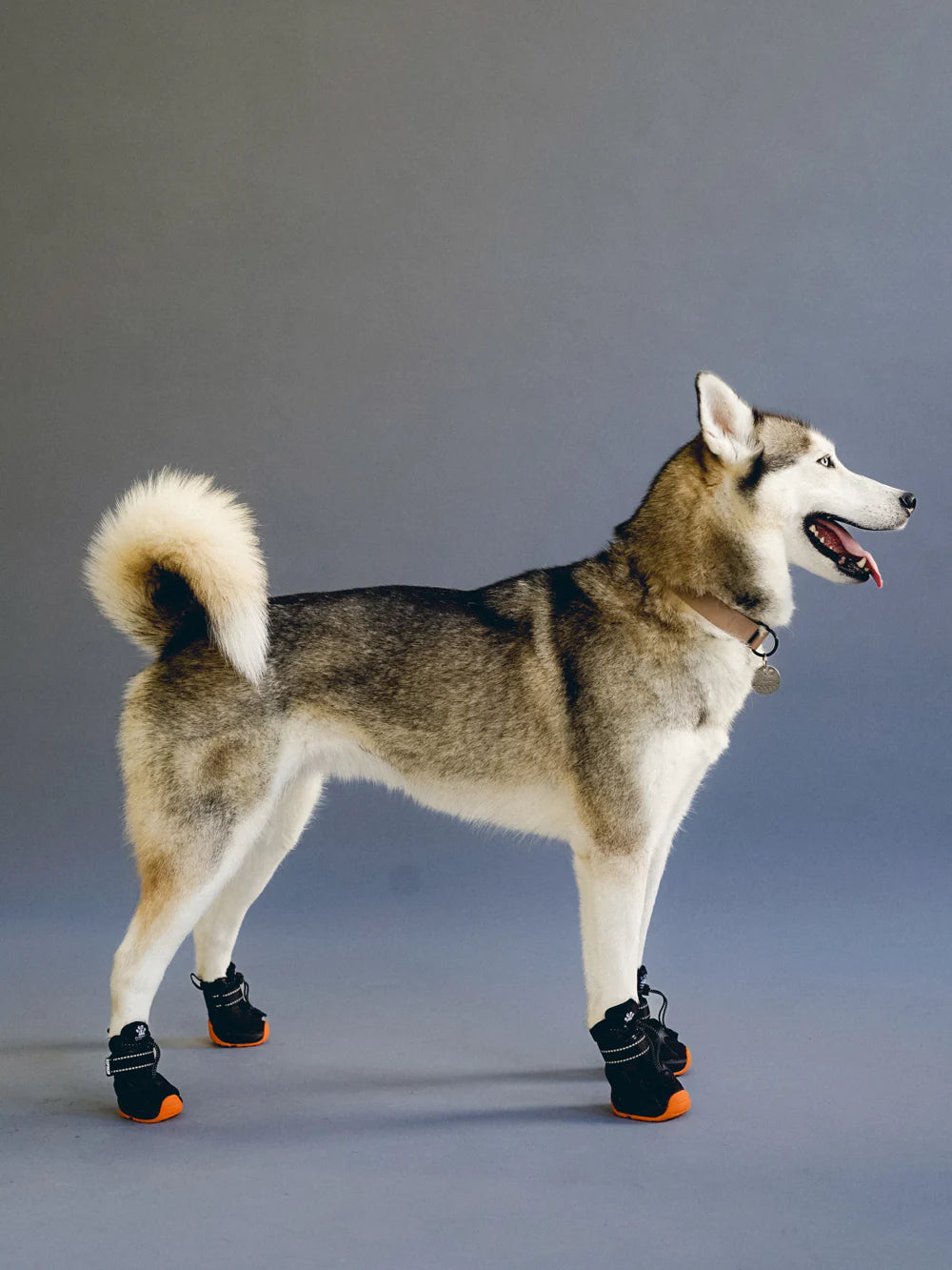 RIFRUF Apollo 1 Dog Boots