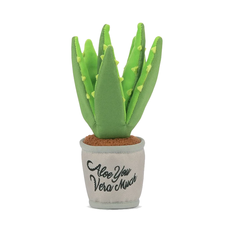 PLAY Aloe-Vu You Plant