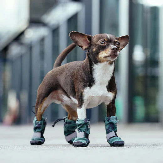 Canada Pooch Soft Shield Boots