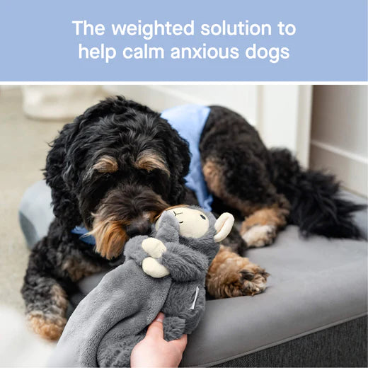 Canada Pooch Weighted Calming Toy