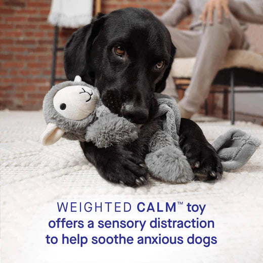 Canada Pooch Weighted Calming Toy