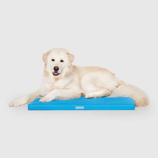 Canada Pooch Chill Out Cooling Mat