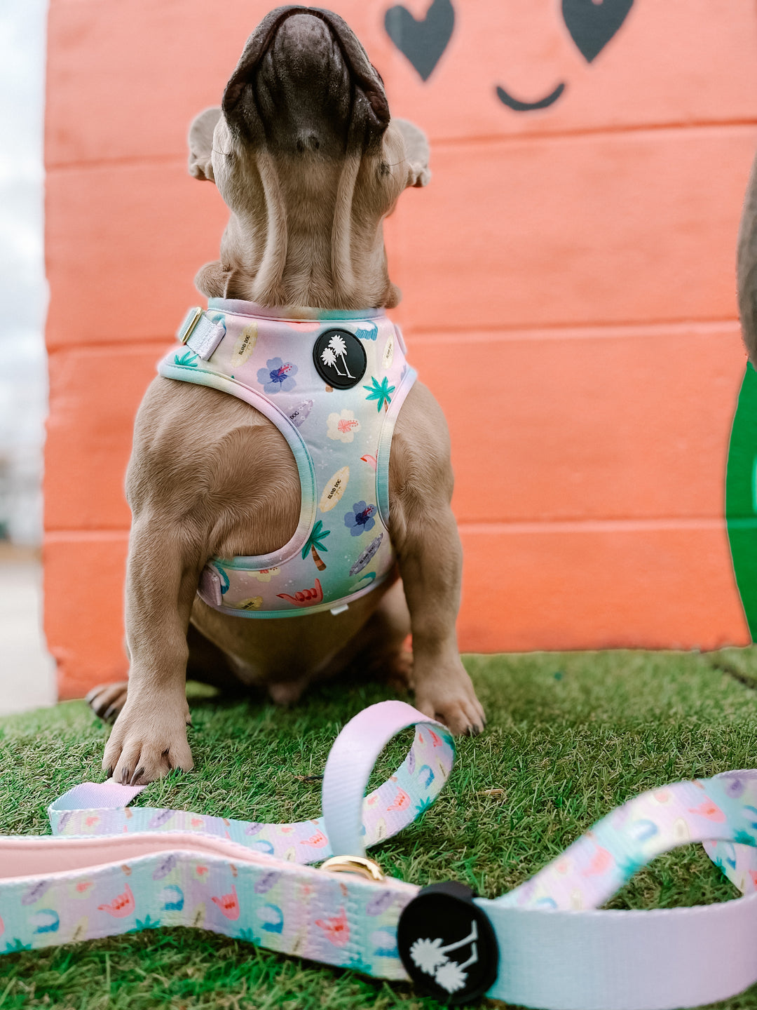 Island Dog Paradise Harness