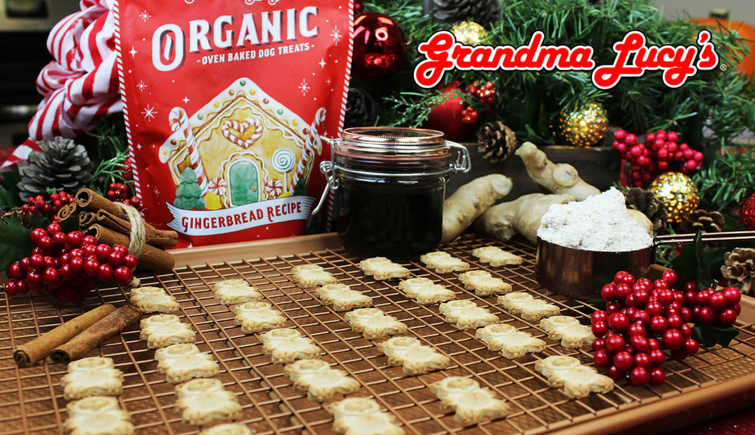 Grandma Lucy's Organic Baked Treats Gingerbread