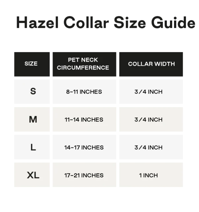 Maxbone Hazel Dog Collar