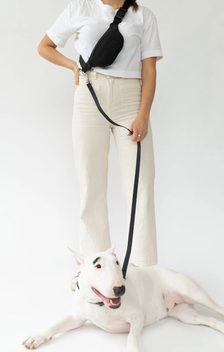 Springer Sling Bag + Dog Leash