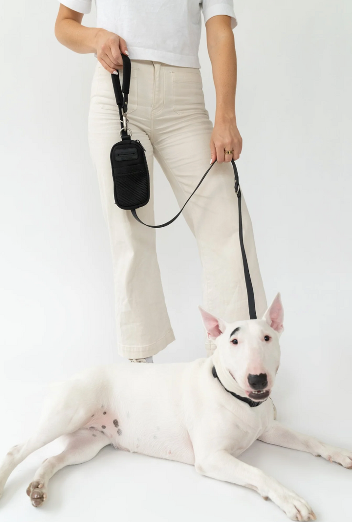 Springer Walk Bag + Dog Leash