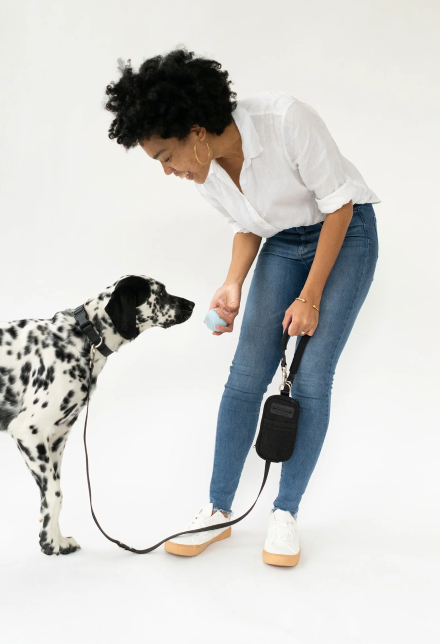 Springer Walk Bag + Dog Leash