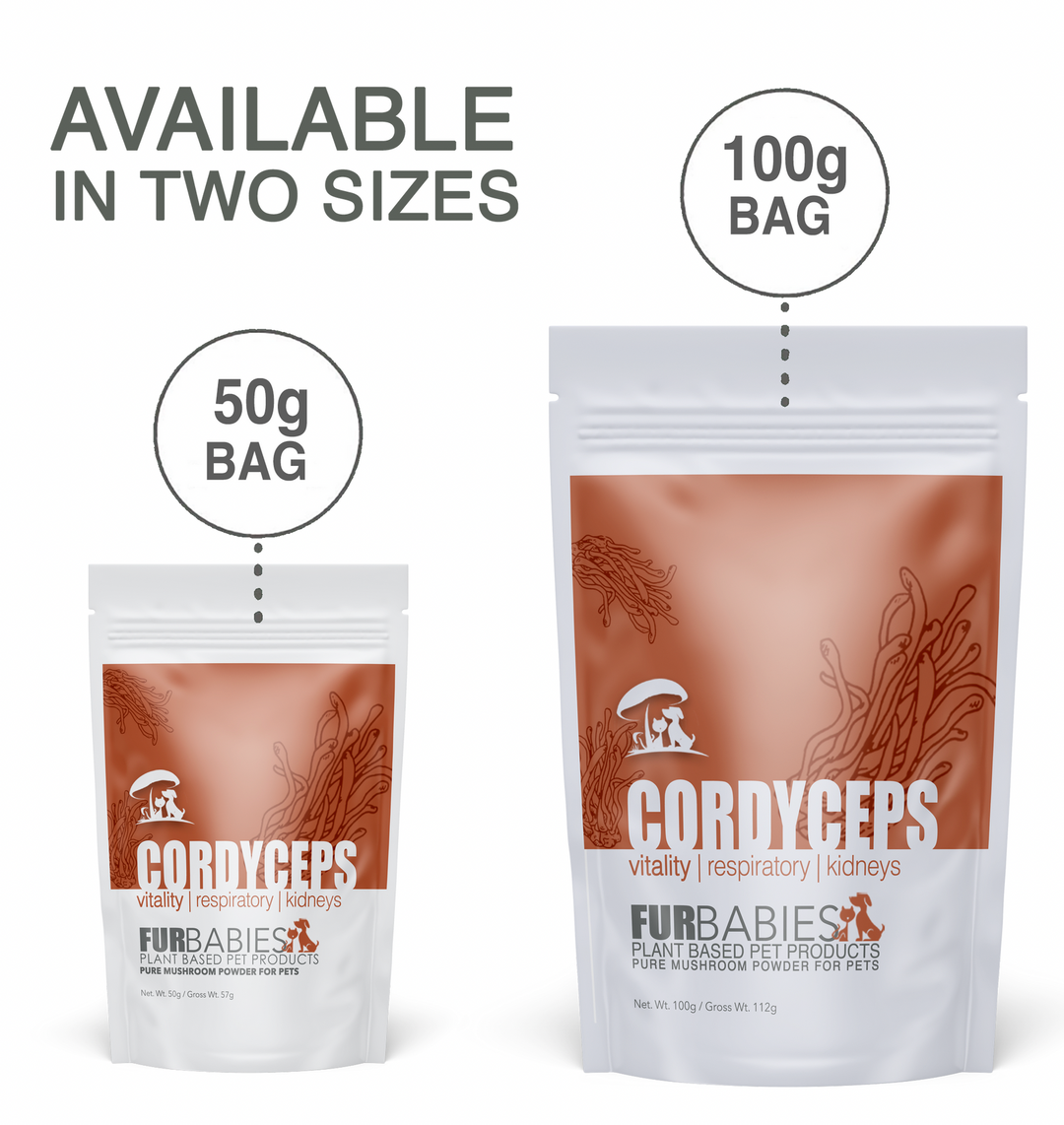 Furbabies Mushroom Powder Cordyceps