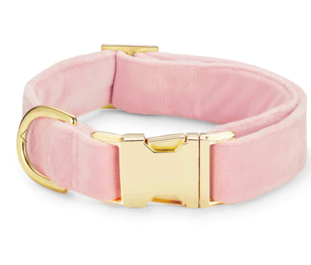 The Foggy Dog Blush Velvet Collar