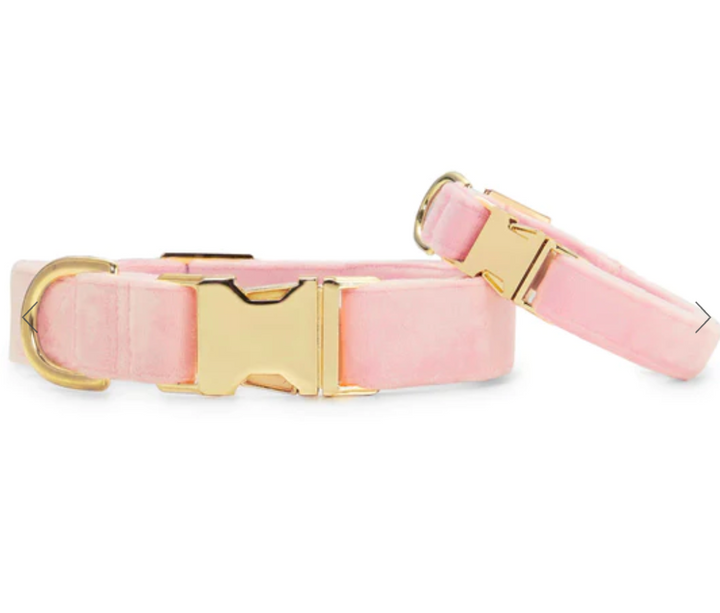 The Foggy Dog Blush Velvet Collar