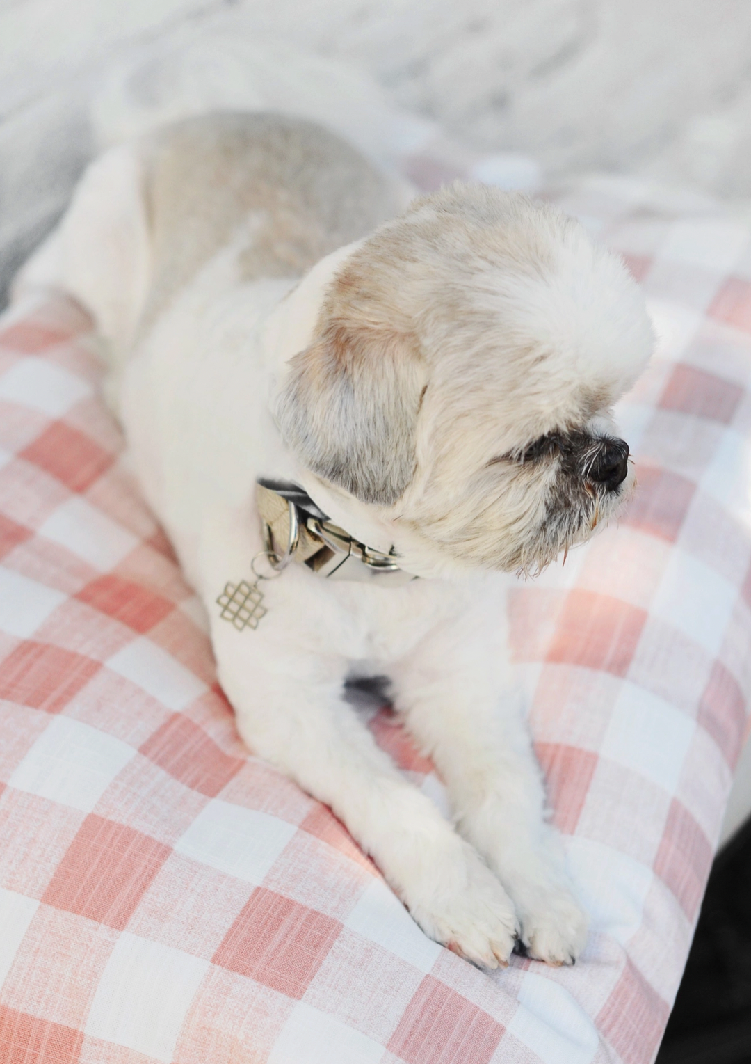 The Foggy Dog Bed Blush Gingham with Memory Foam