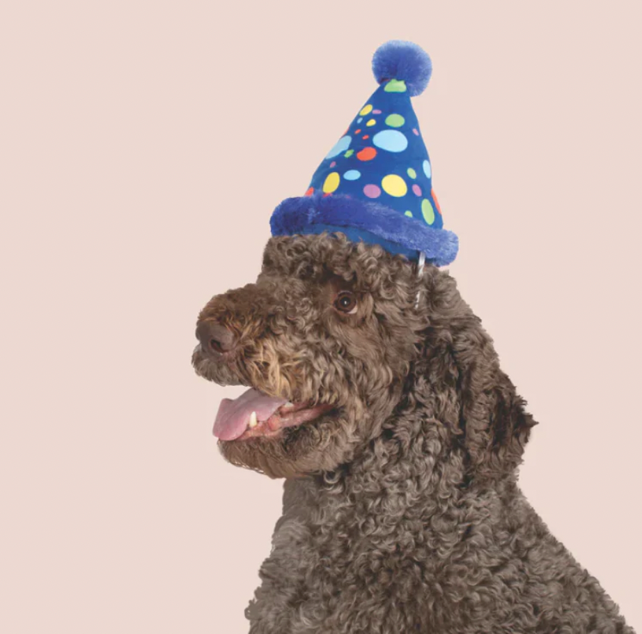 Fringe Studio Party Hat Plush Dog Toy