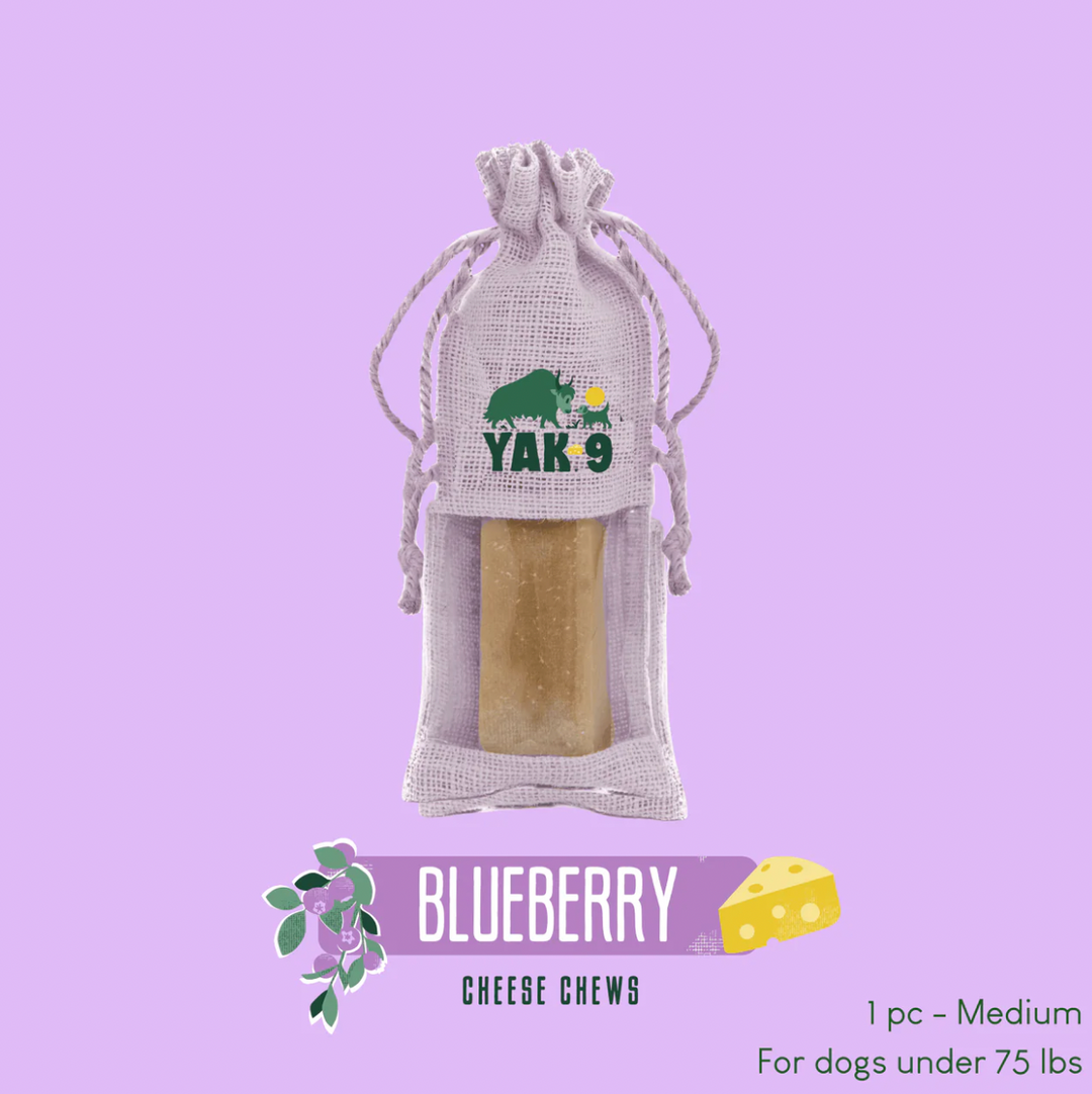 Yak9 Blueberry Cheese Chews