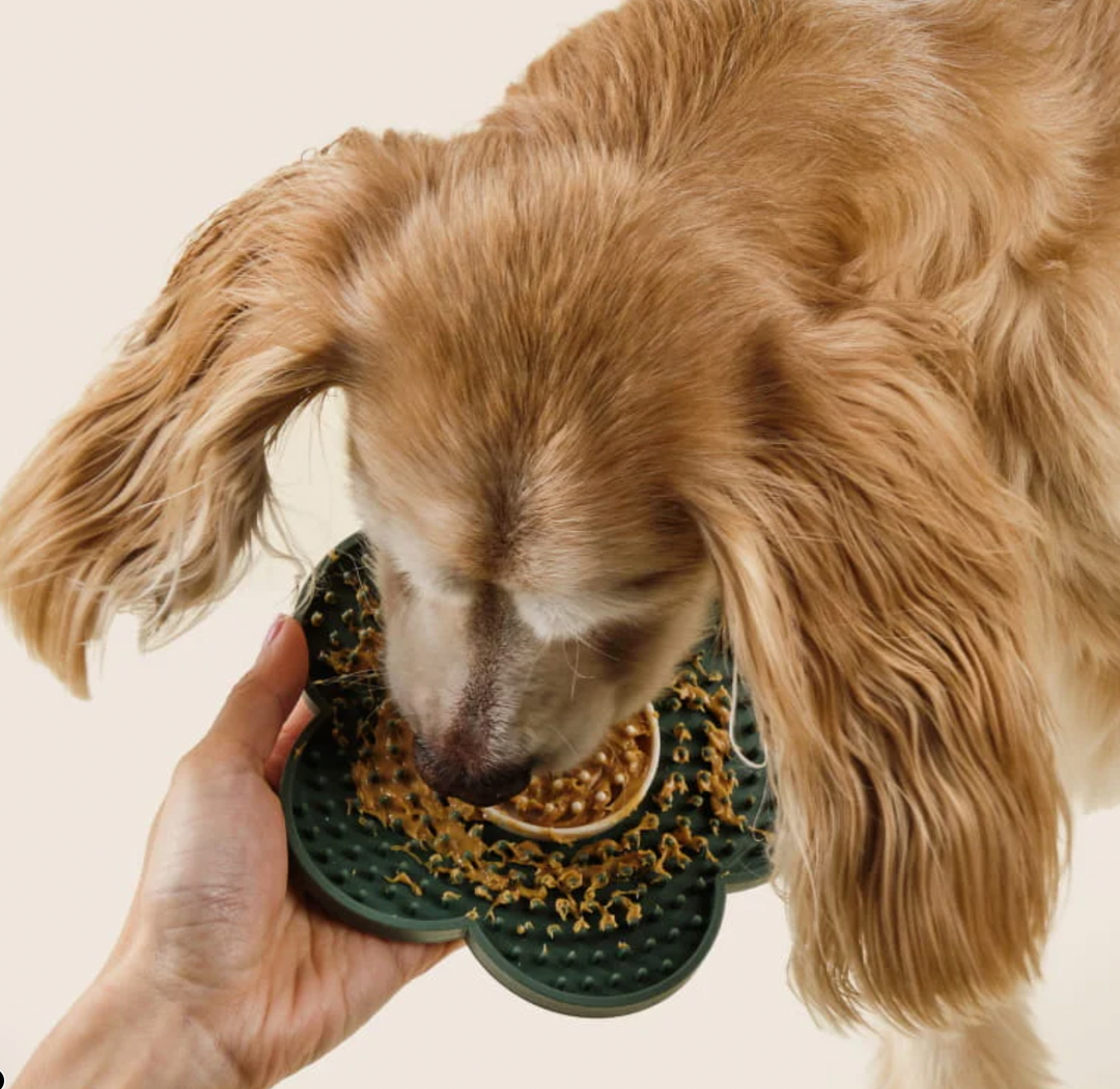 Dandylion Lick Mat