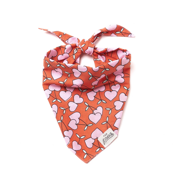 The Paws Cherrie Bandana