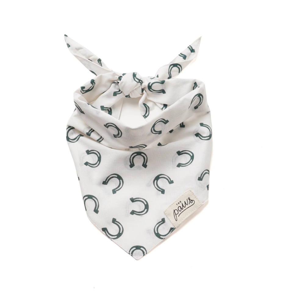 The Paws Luck Bandana