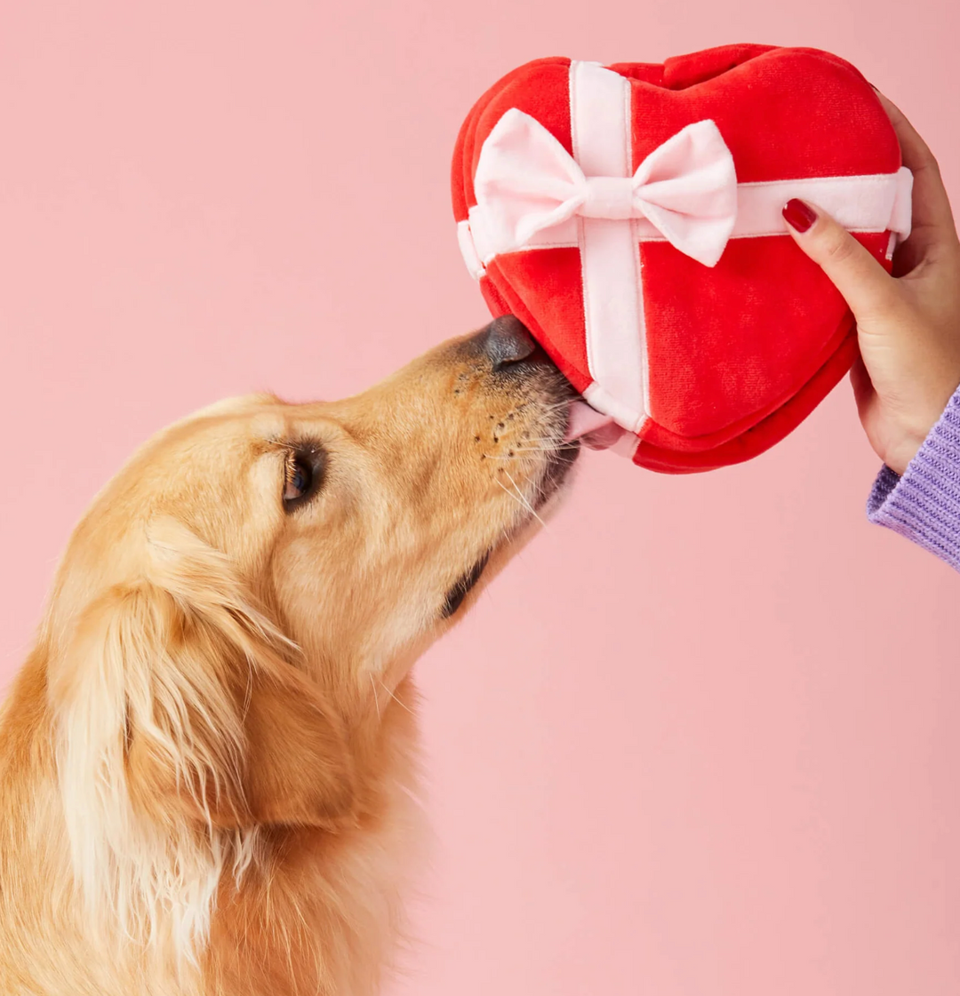 The Foggy Dog Be My Valentine Interactive Snuffle Dog Toy