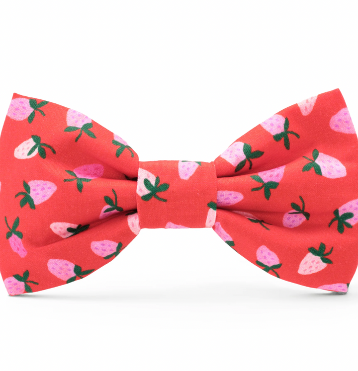 The Foggy Dog Berry Sweet Dog Bow Tie