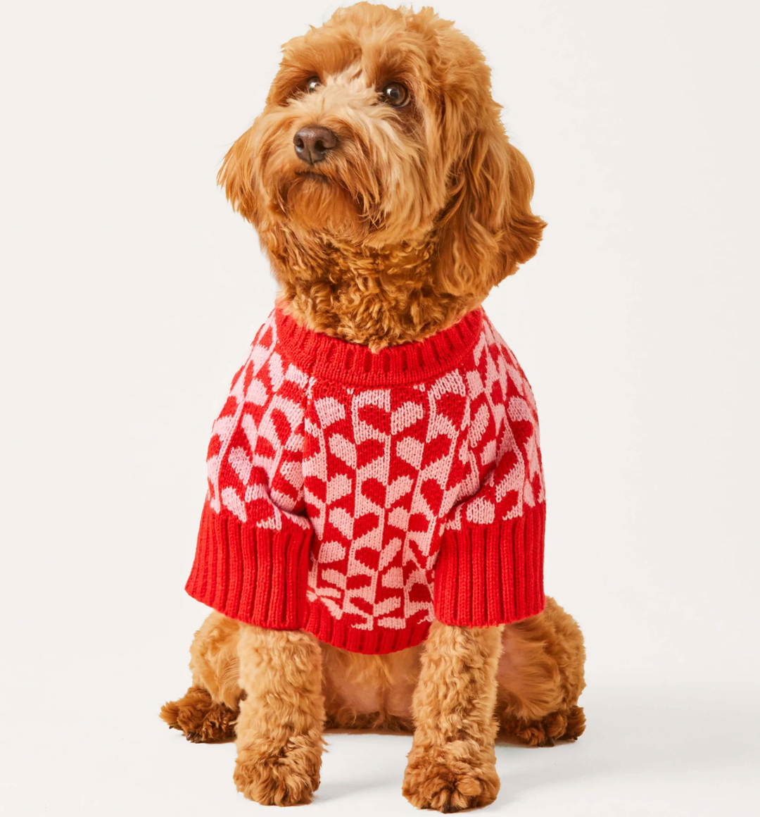 The Foggy Dog Heart Stripe Dog Sweater