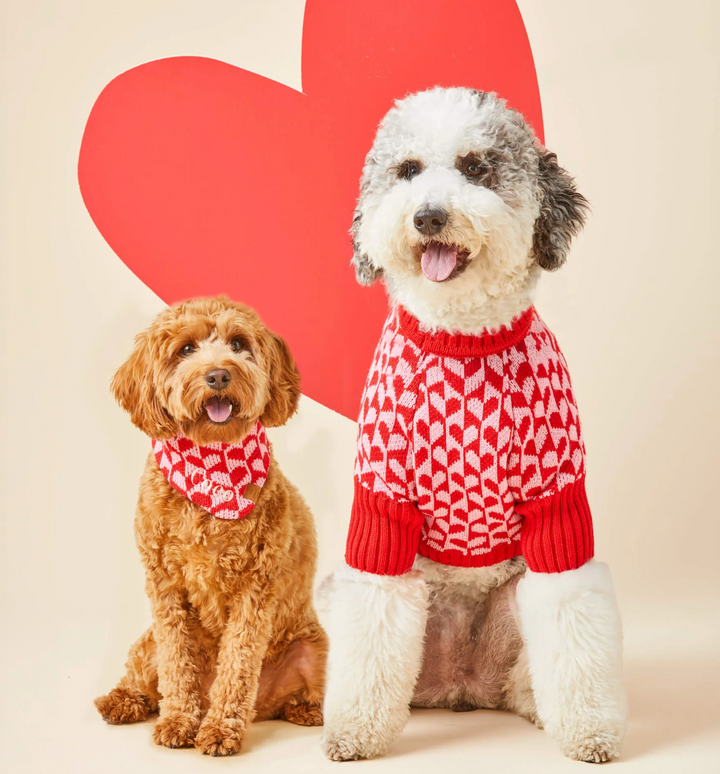 The Foggy Dog Heart Stripe Dog Sweater