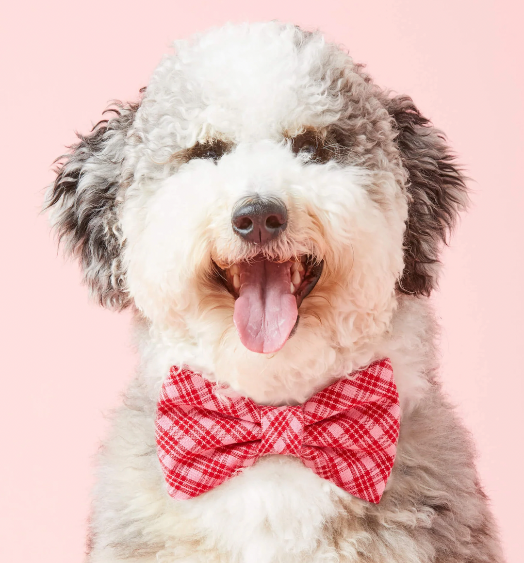 The Foggy Dog Heather Taylor Home x TFD Katherine Plaid Valentine Dog Bow Tie