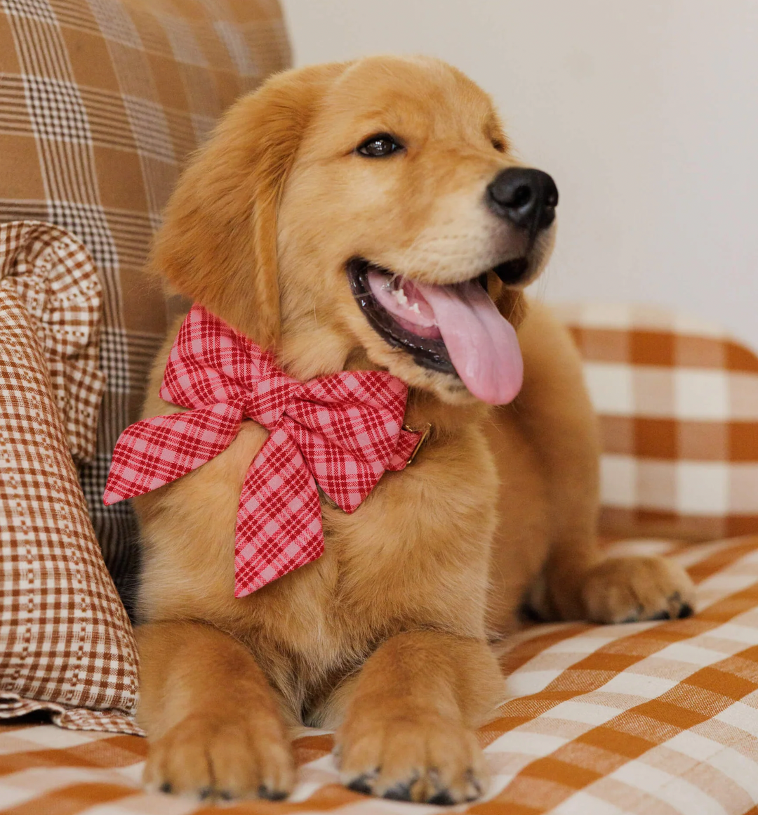 The Foggy Dog Heather Taylor Home x TFD Katherine Plaid Valentine Lady Dog Bow