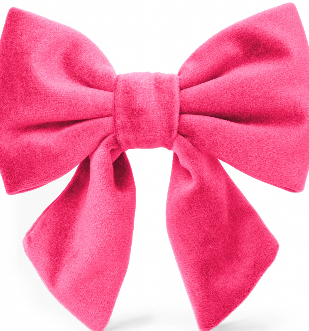 The Foggy Dog Hot Pink Velvet Lady Dog Bow