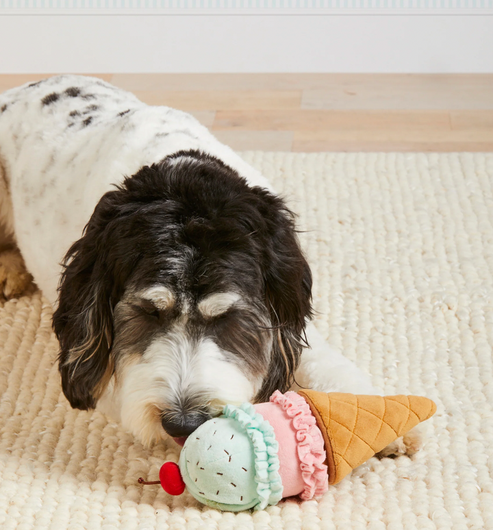 The Foggy Dog Ice Cream Interactive Snuffle Dog Toy