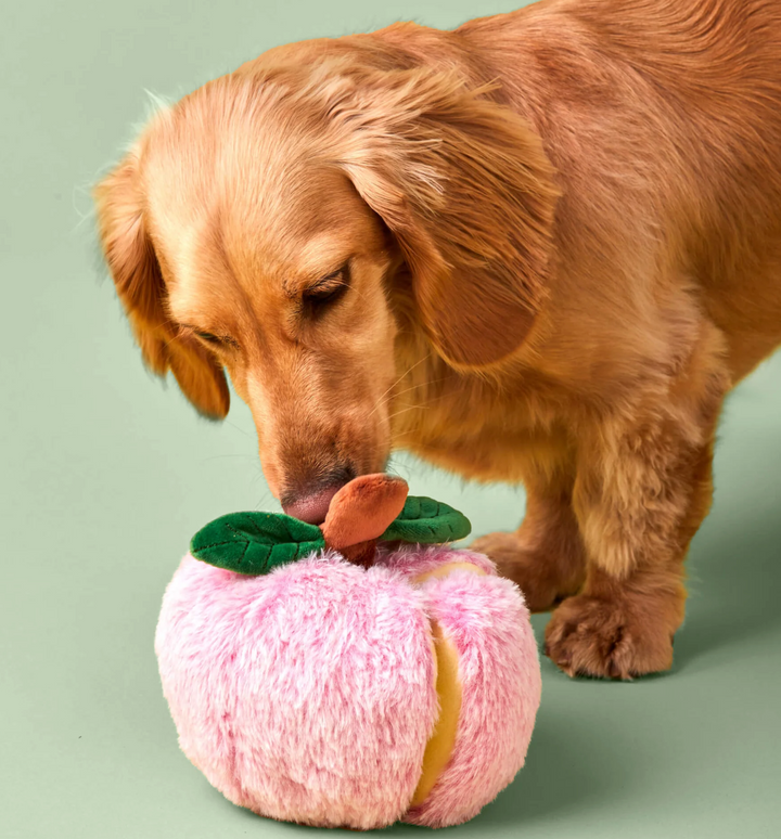 The Foggy Dog Apple Interactive Snuffle Dog Toy