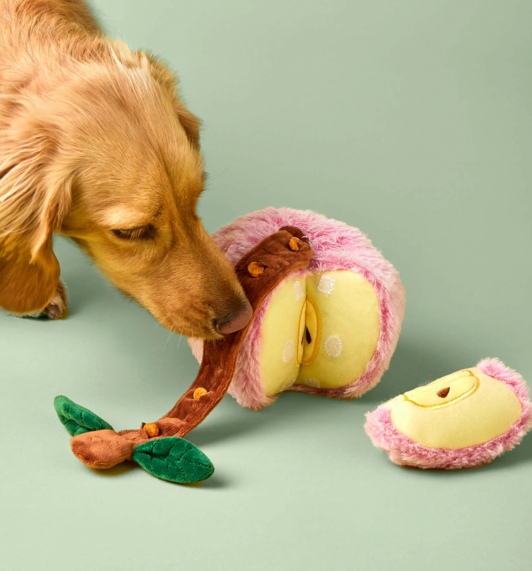 The Foggy Dog Apple Interactive Snuffle Dog Toy