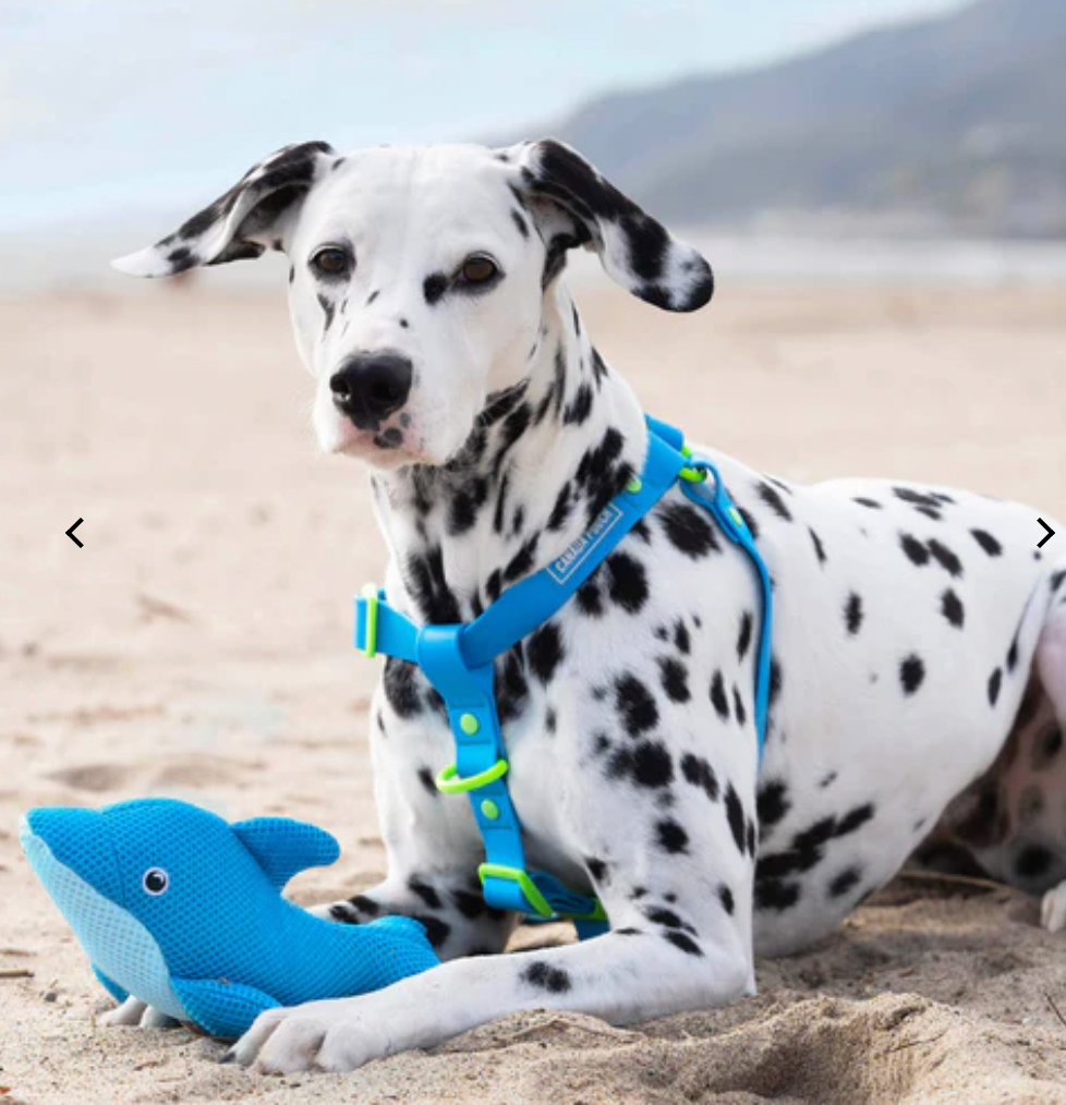 Canada Pooch Chill Seeker Cooling Pals