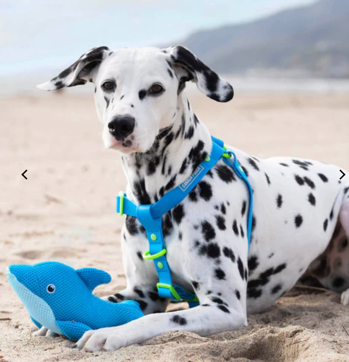 Canada Pooch Chill Seeker Cooling Pals