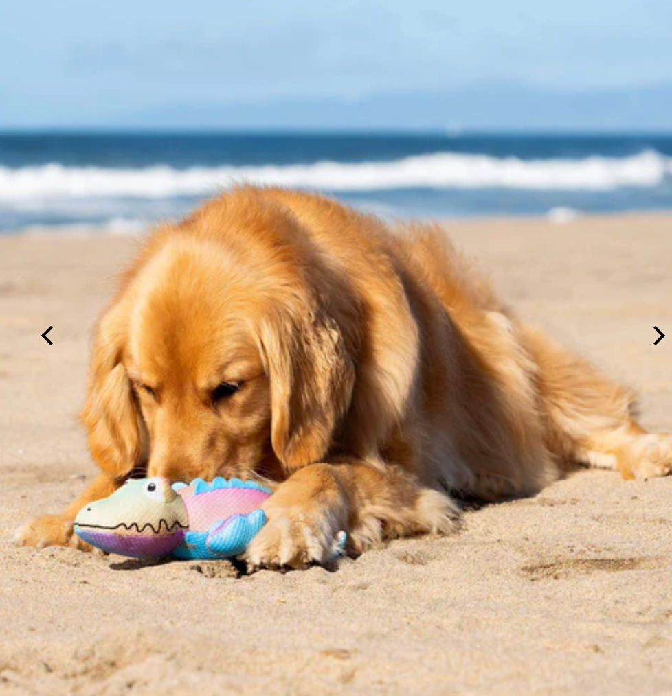 Canada Pooch Chill Seeker Cooling Pals