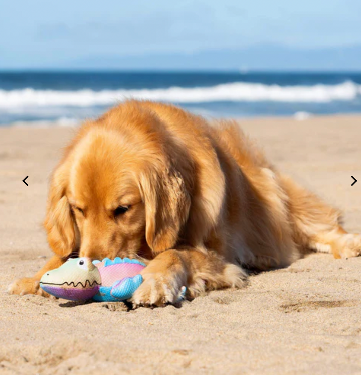 Canada Pooch Chill Seeker Cooling Pals