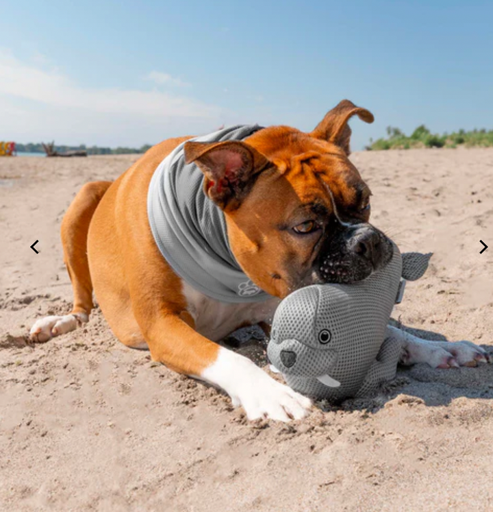Canada Pooch Chill Seeker Cooling Pals