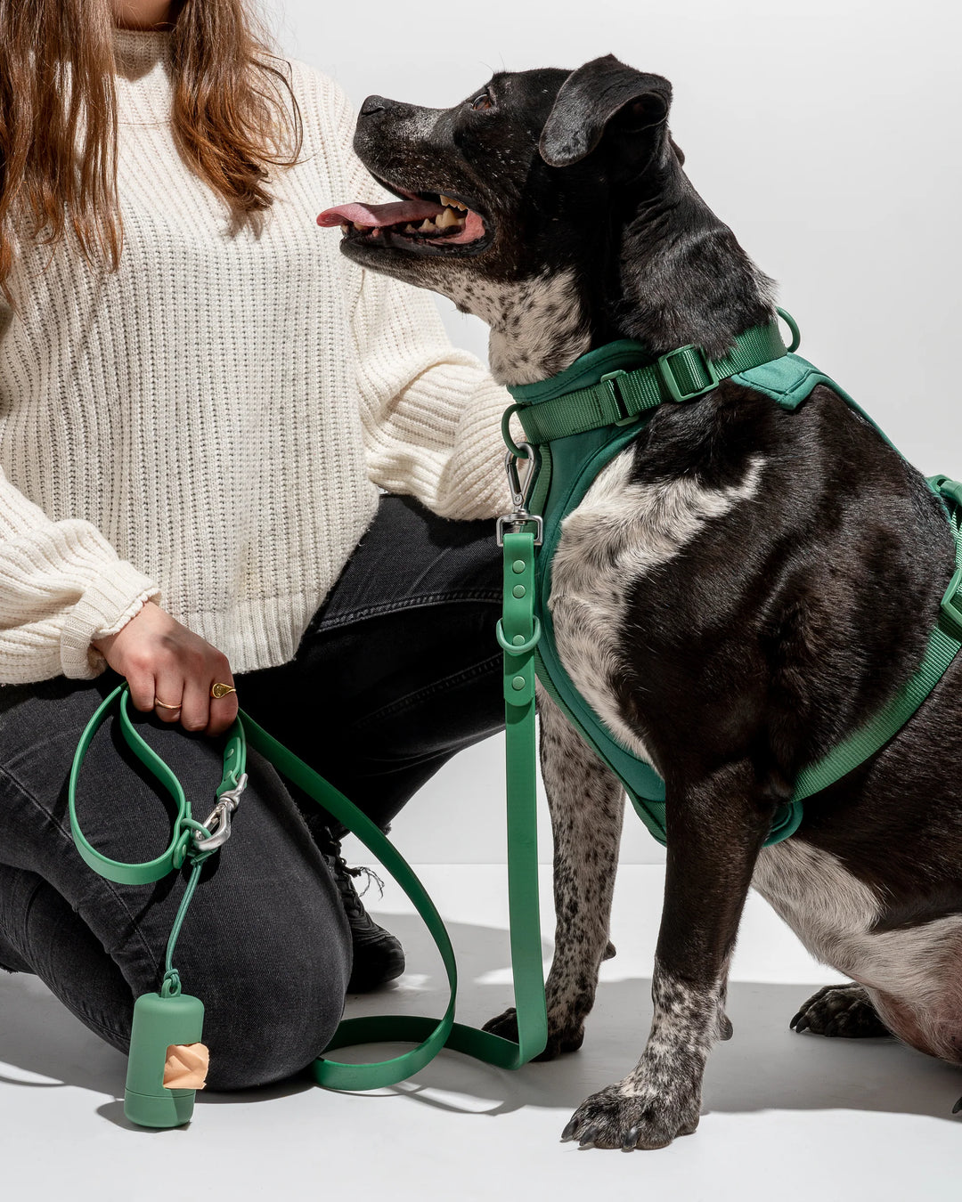 Wild One Leash