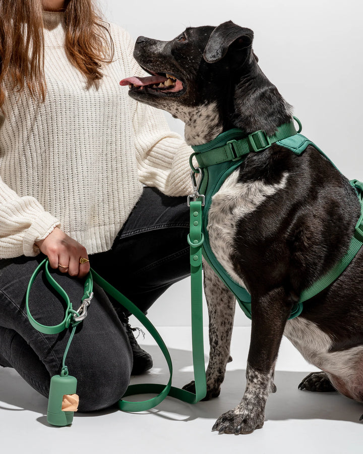 Wild One Leash