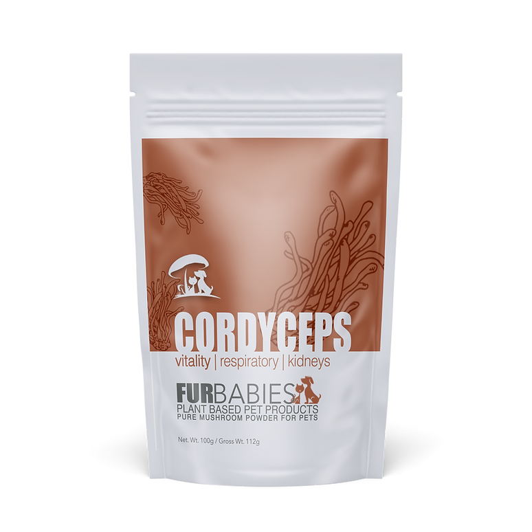 Furbabies Mushroom Powder Cordyceps