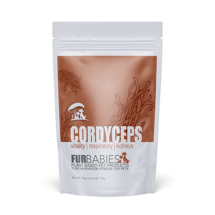 Furbabies Mushroom Powder Cordyceps