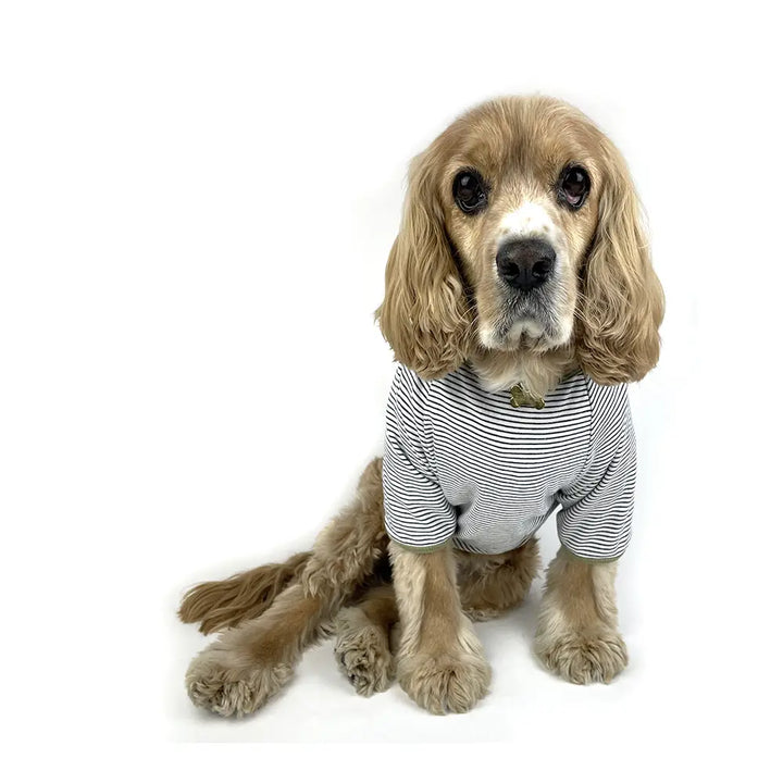 Milltown Brand Dog Stripe Rib T-Shirt